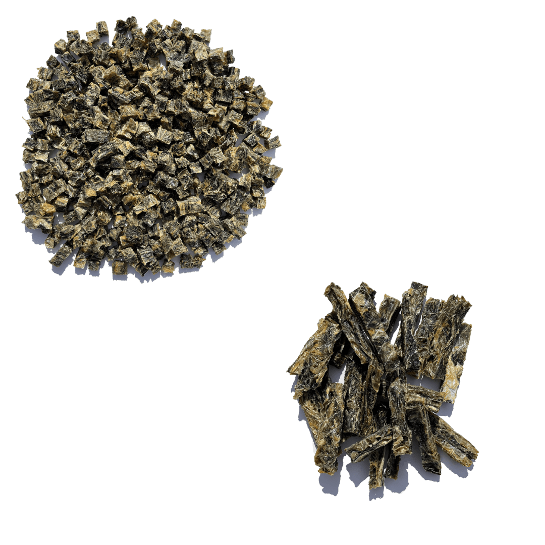 Dental Health Bundle - Waggleworthy