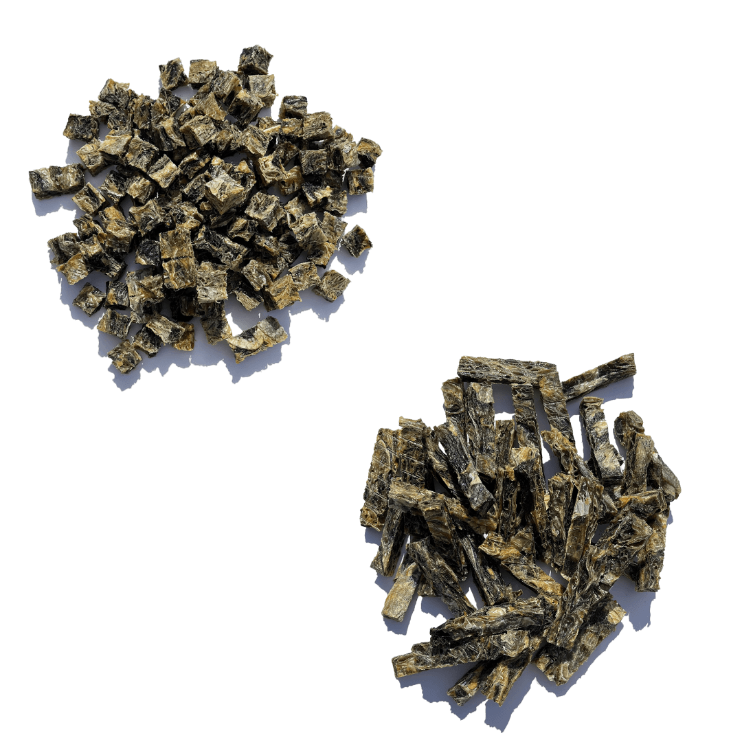 Dental Health Bundle - Waggleworthy