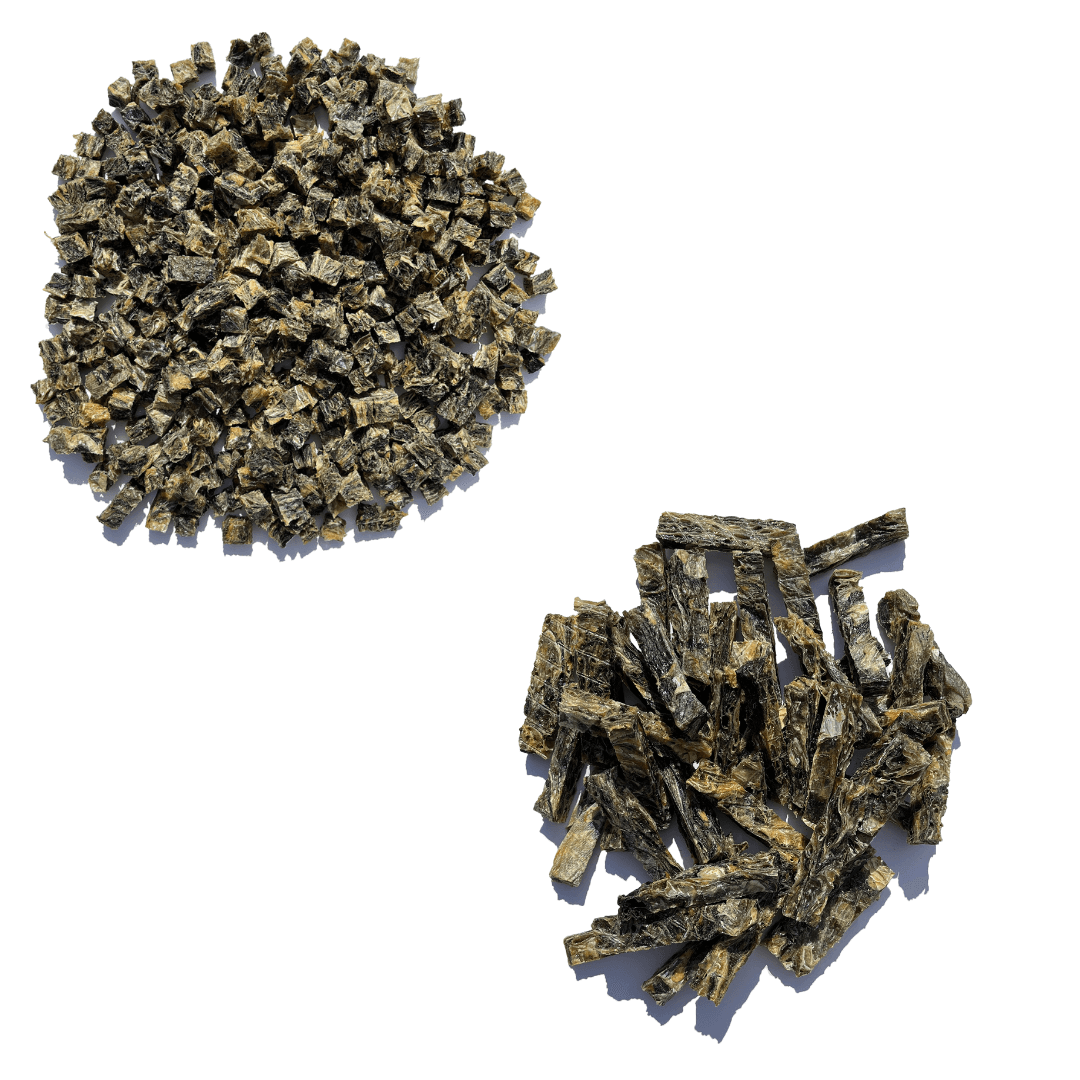 Dental Health Bundle - Waggleworthy