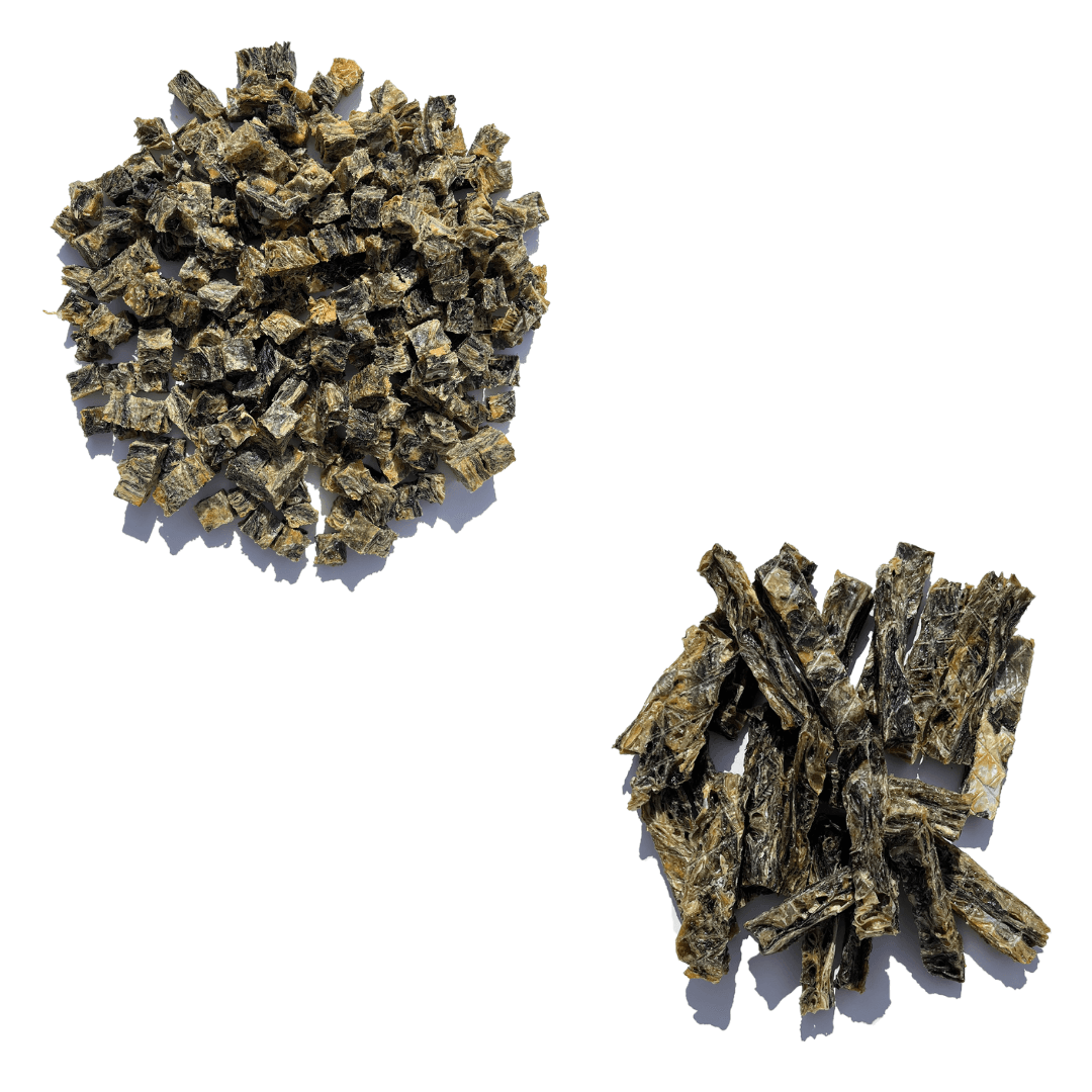 Dental Health Bundle - Waggleworthy