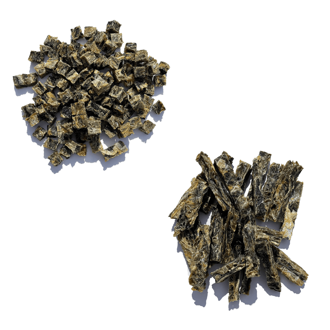 Dental Health Bundle - Waggleworthy