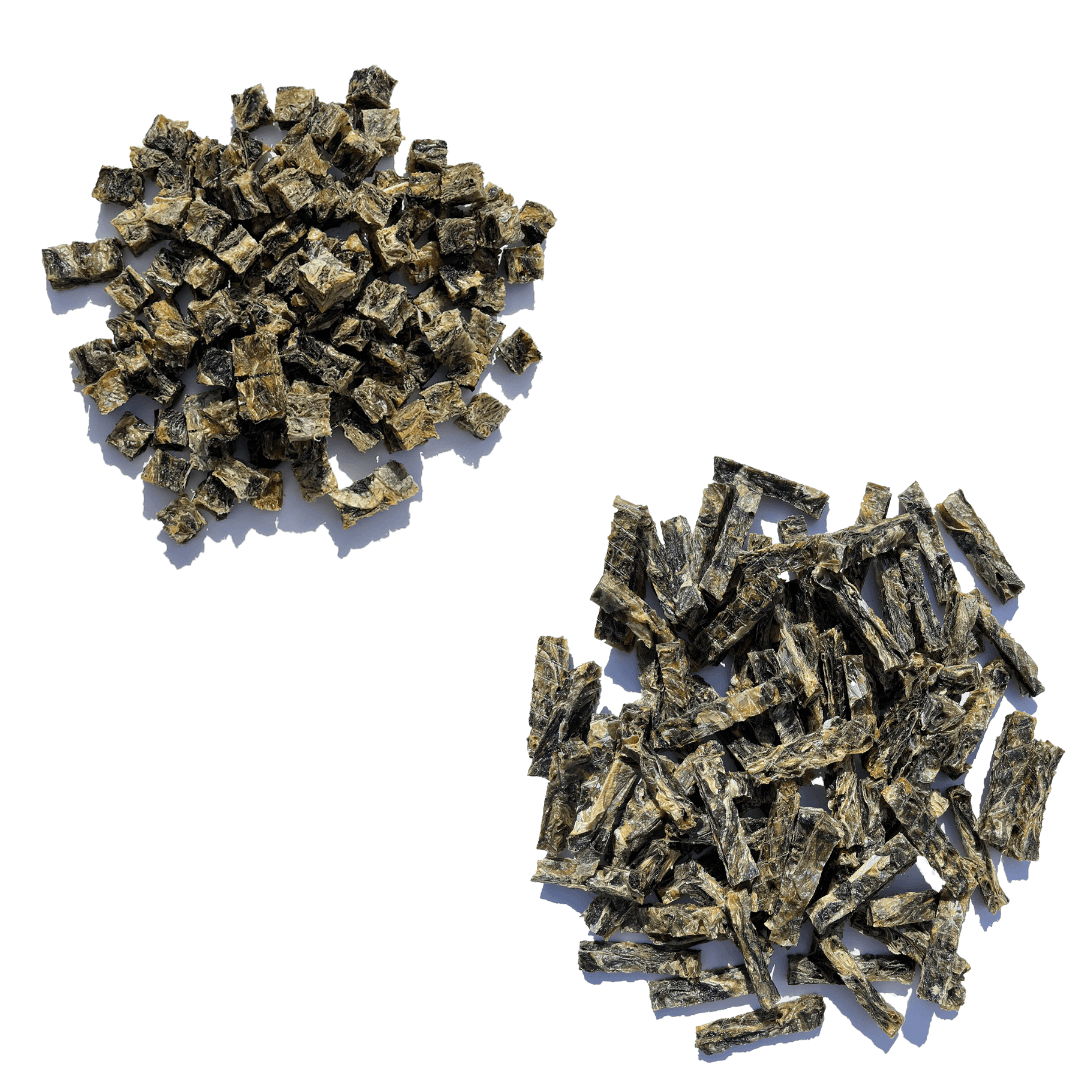 Dental Health Bundle - Waggleworthy