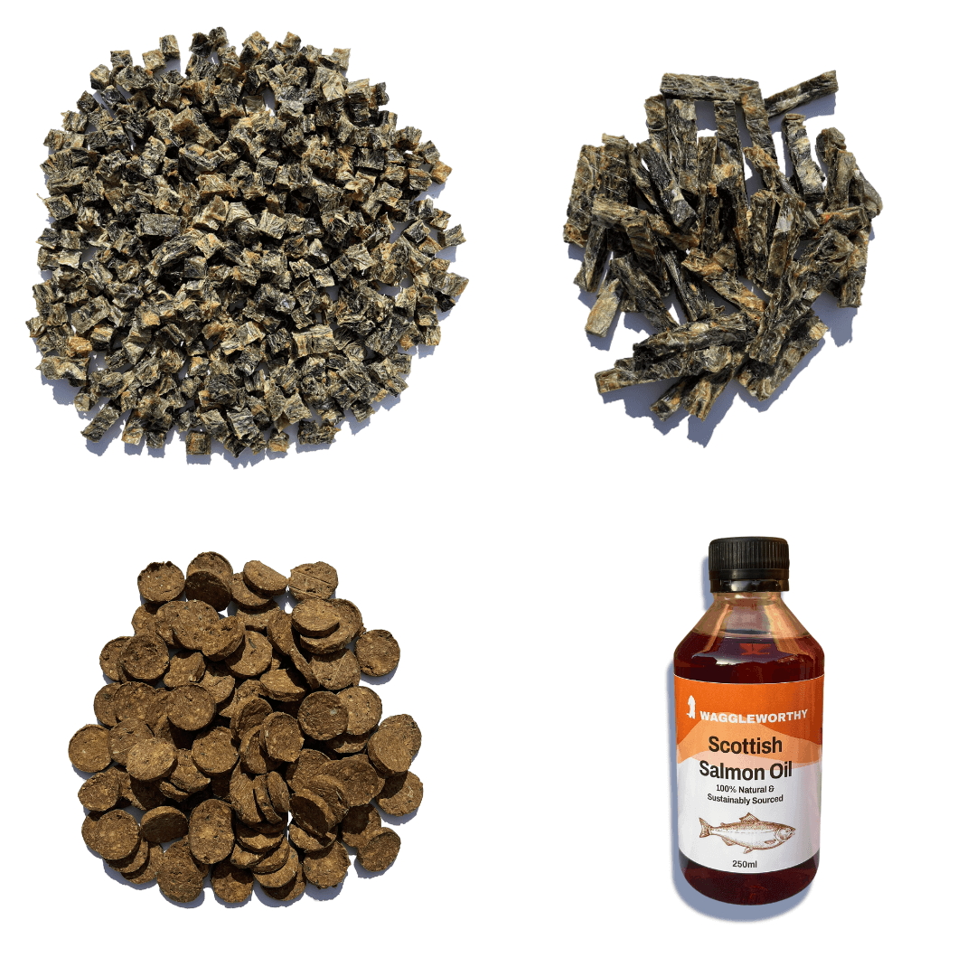 One of Everything Bundle - Waggleworthy