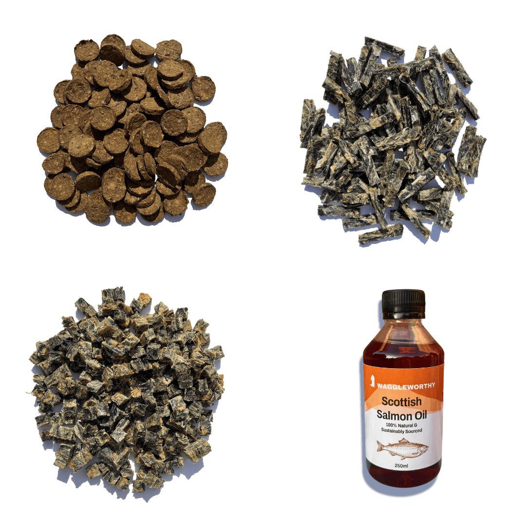 One of Everything Bundle - Waggleworthy