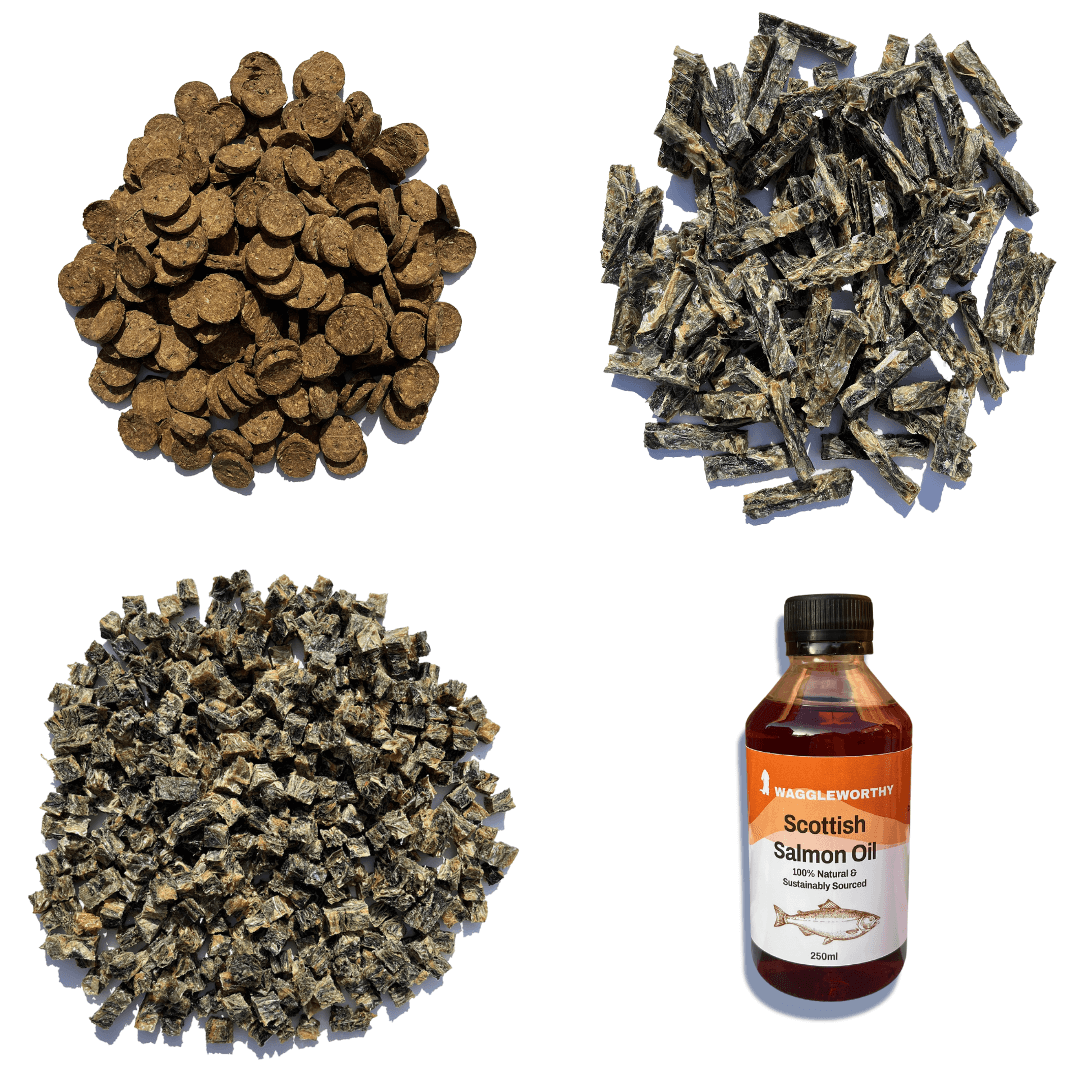 One of Everything Bundle - Waggleworthy