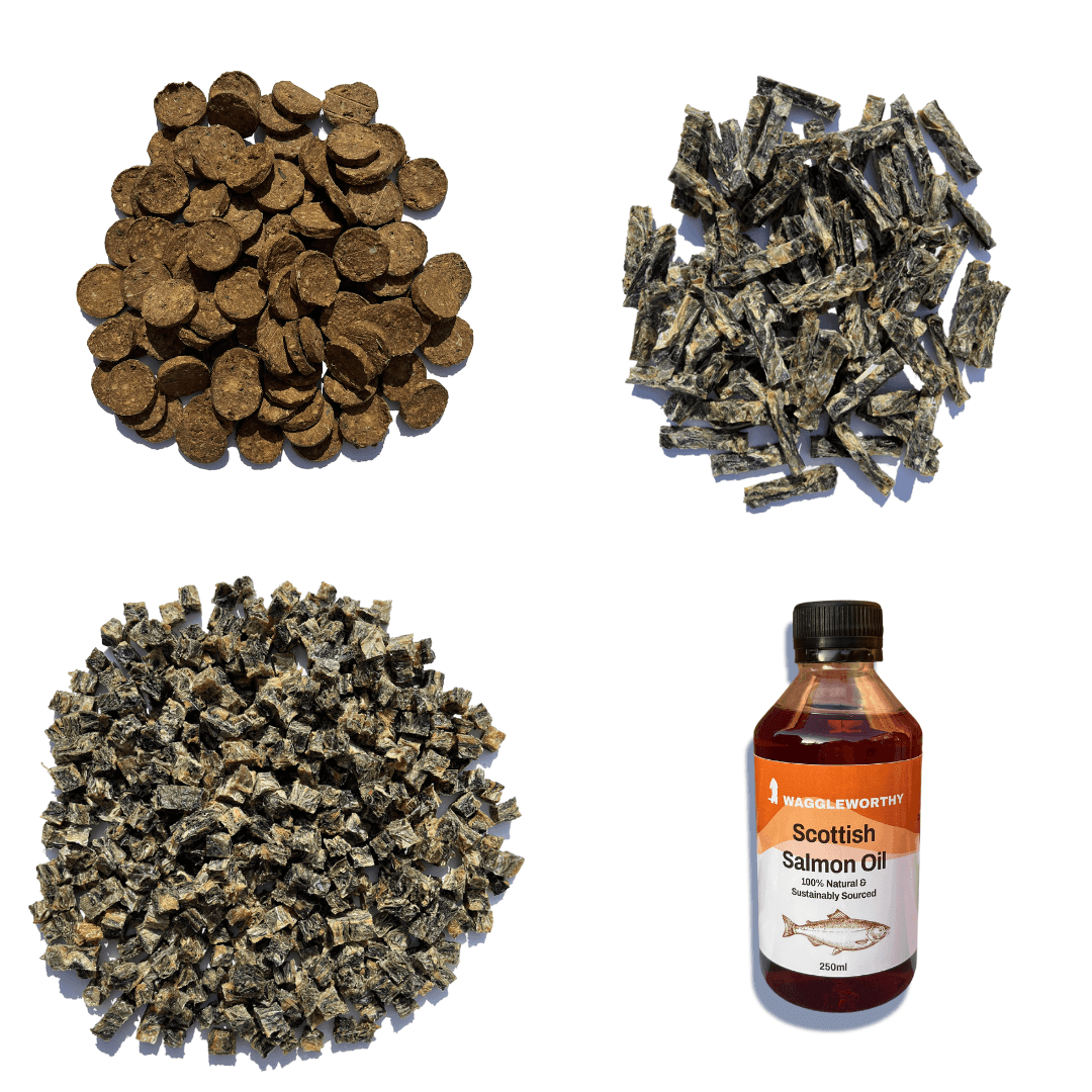 One of Everything Bundle - Waggleworthy