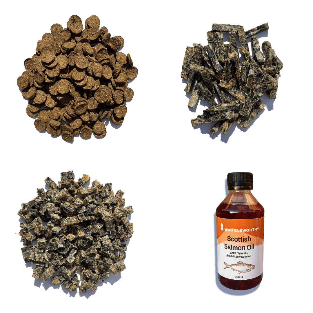 One of Everything Bundle - Waggleworthy