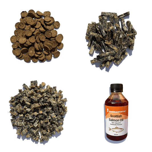 One of Everything Bundle - Waggleworthy