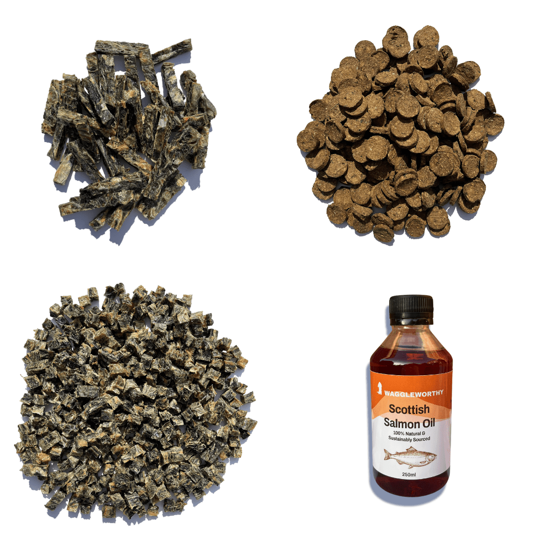 One of Everything Bundle - Waggleworthy