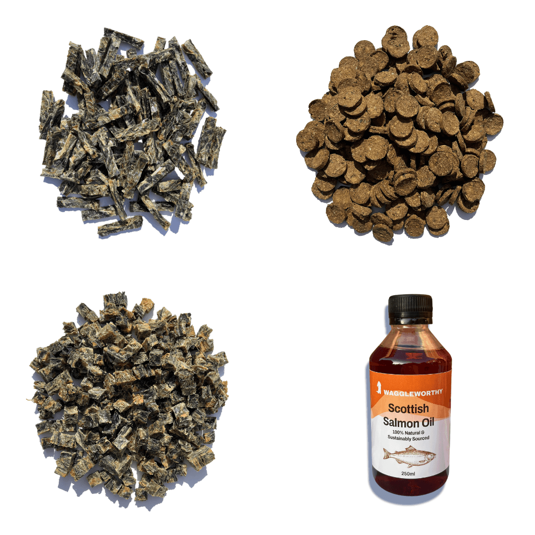 One of Everything Bundle - Waggleworthy