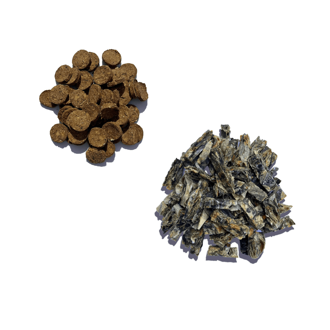 Super Savers Bundle - Waggleworthy