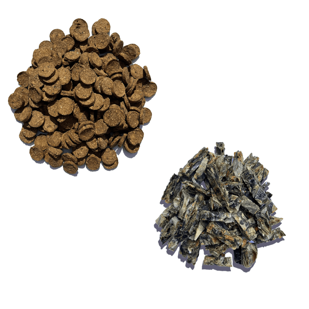 Super Savers Bundle - Waggleworthy