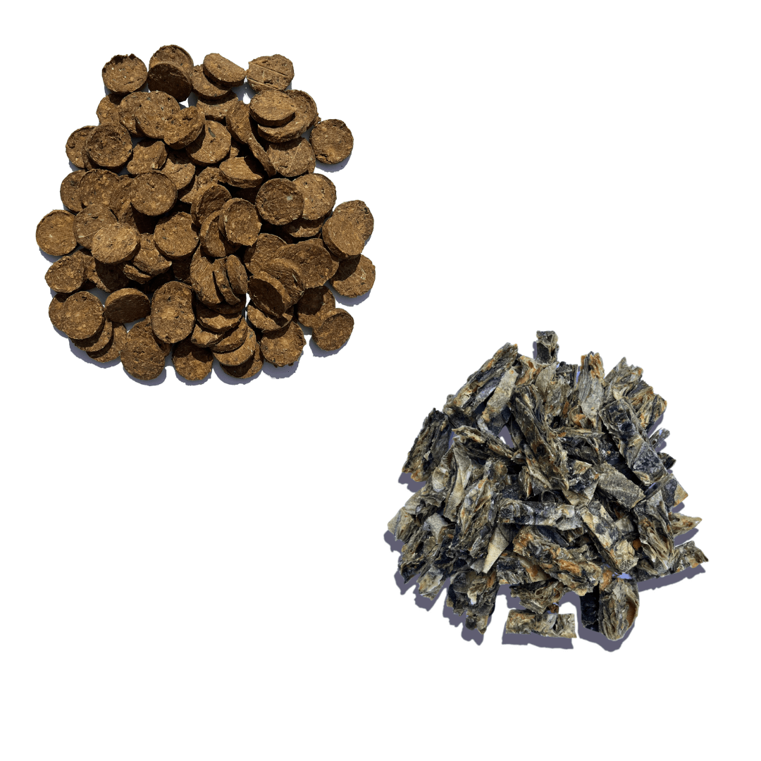 Super Savers Bundle - Waggleworthy