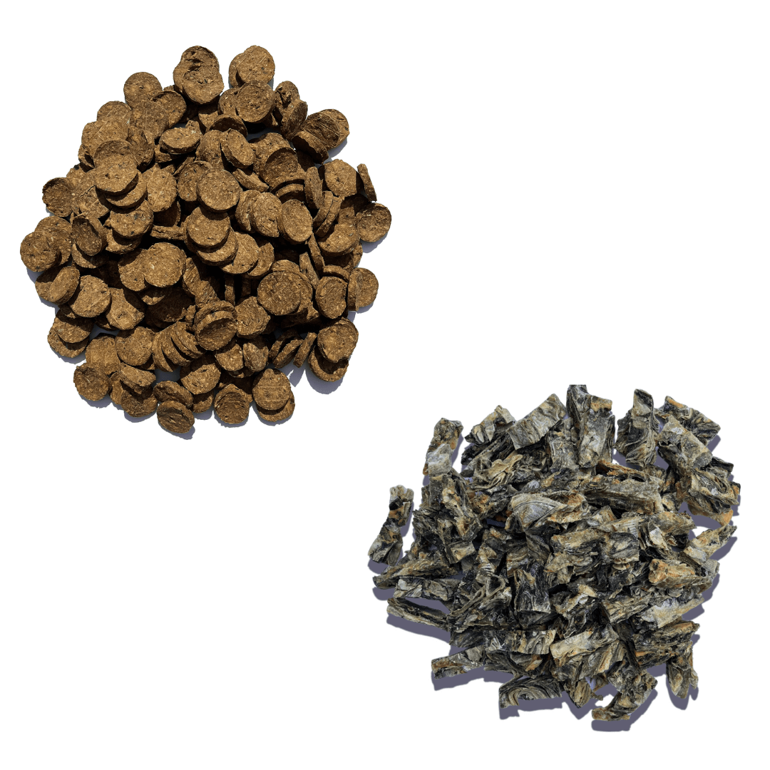 Super Savers Bundle - Waggleworthy