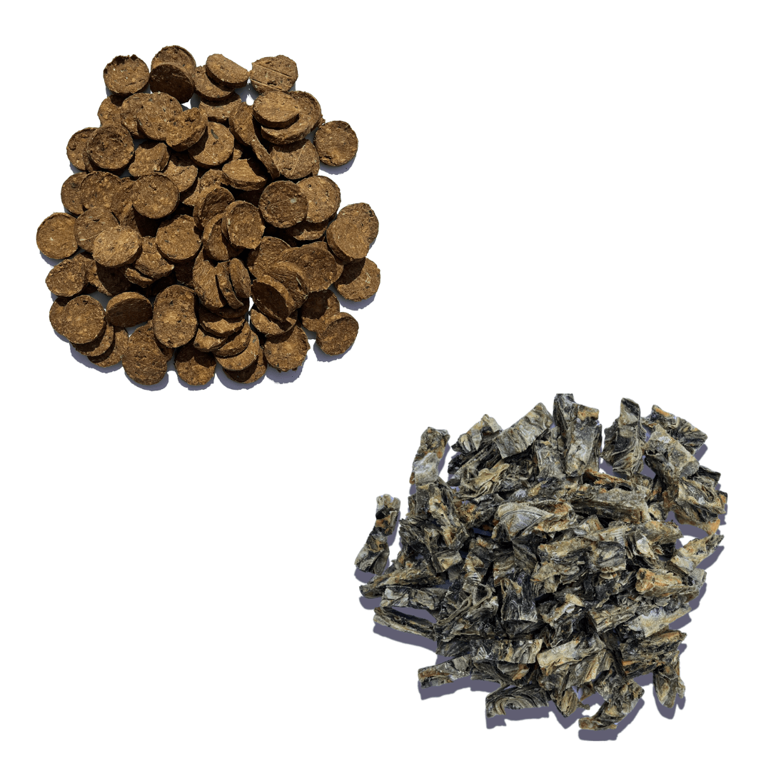 Super Savers Bundle - Waggleworthy