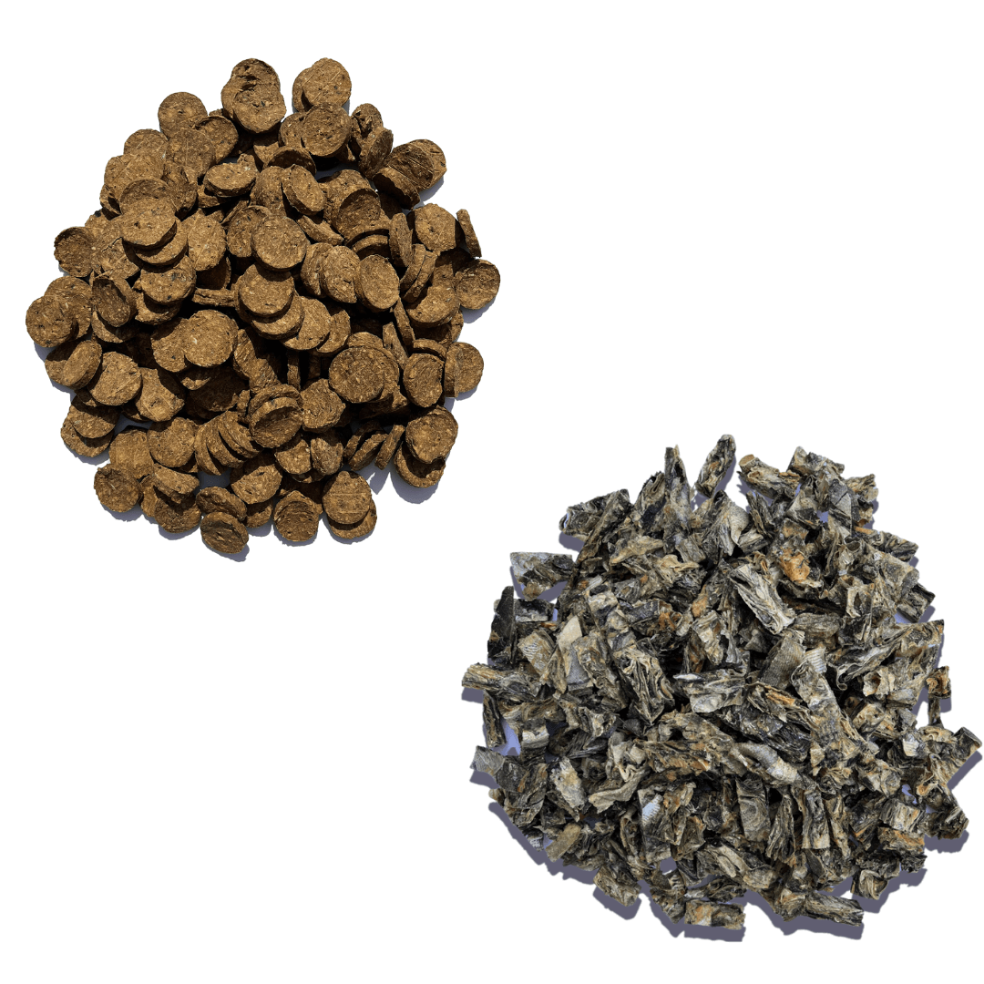 Super Savers Bundle - Waggleworthy