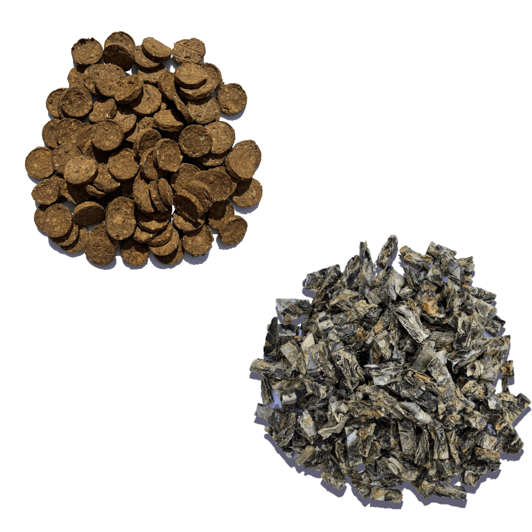 Super Savers Bundle - Waggleworthy