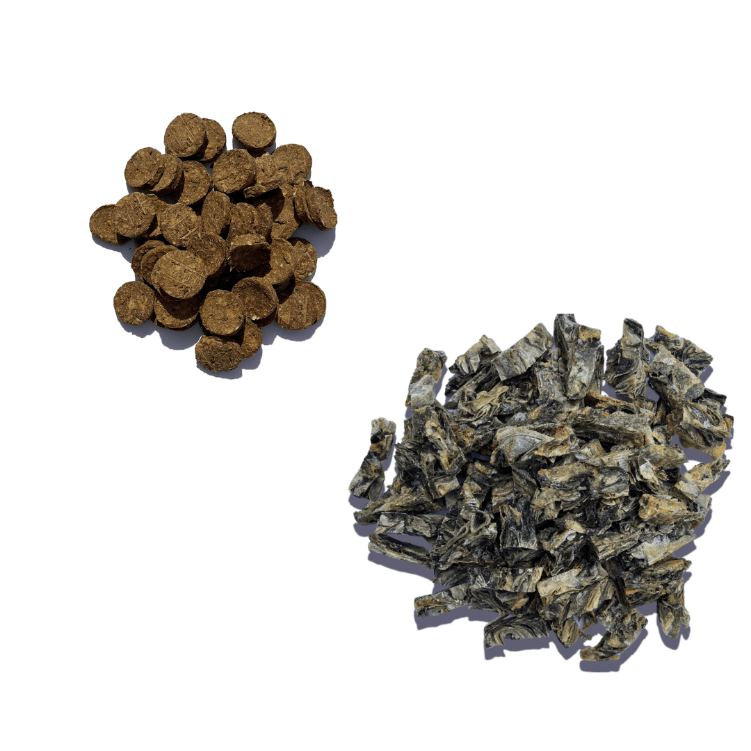 Super Savers Bundle - Waggleworthy