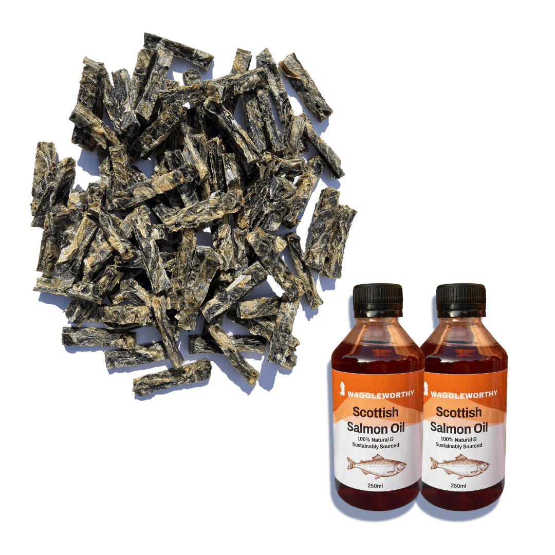 Teeth & Coat Bundle - Waggleworthy