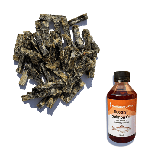 Teeth & Coat Bundle - Waggleworthy