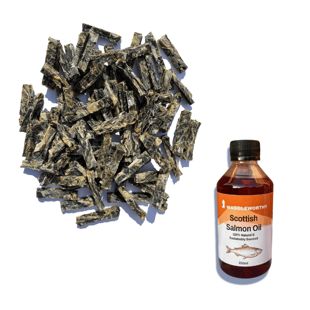 Teeth & Coat Bundle - Waggleworthy