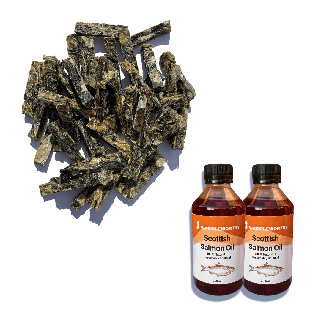 Teeth & Coat Bundle - Waggleworthy