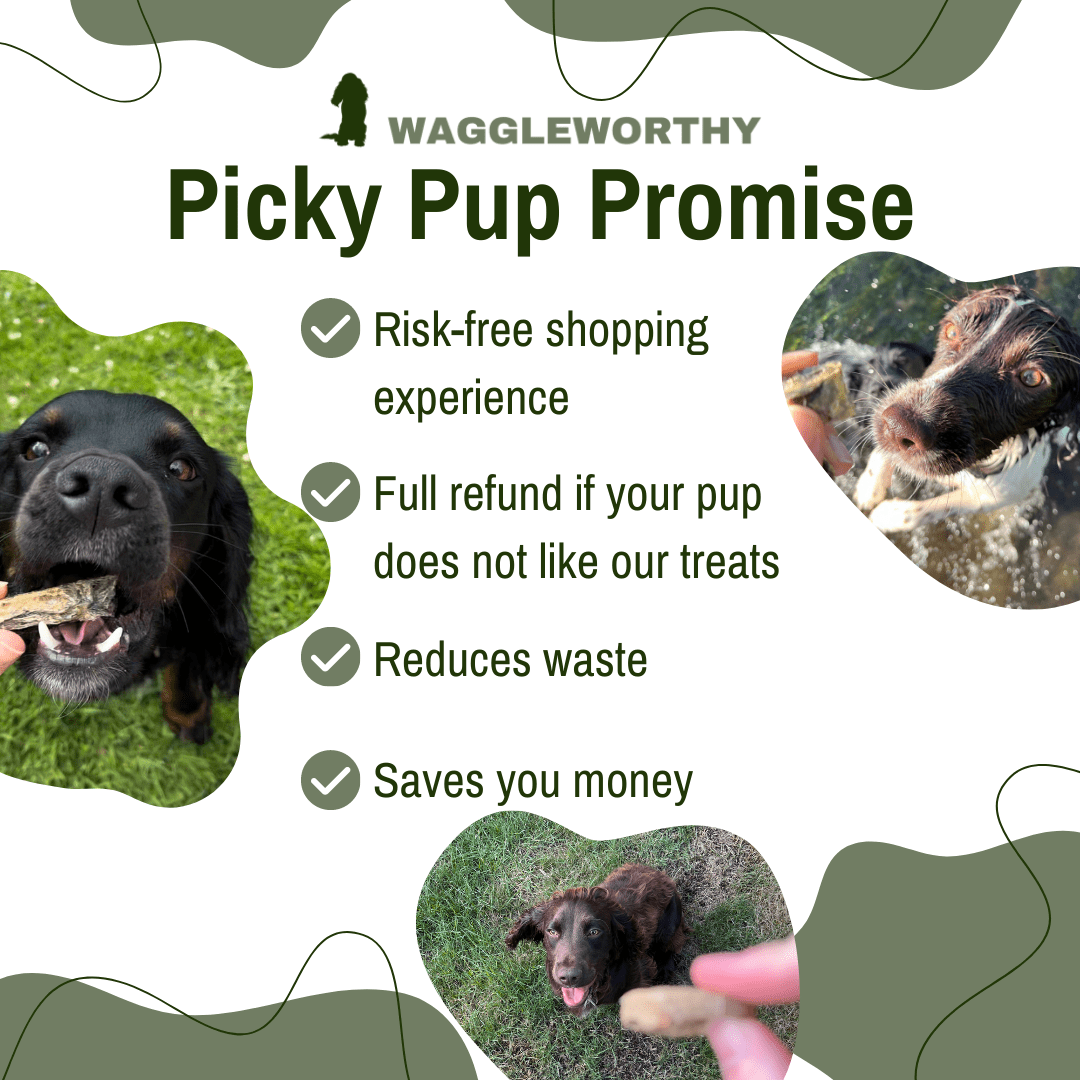 Fish & Tattie Patties - Waggleworthy