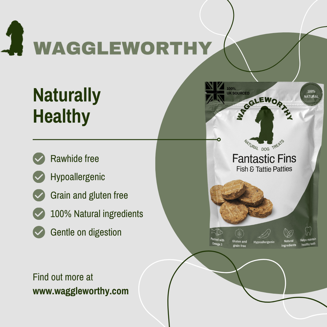 Fish & Tattie Patties - Waggleworthy