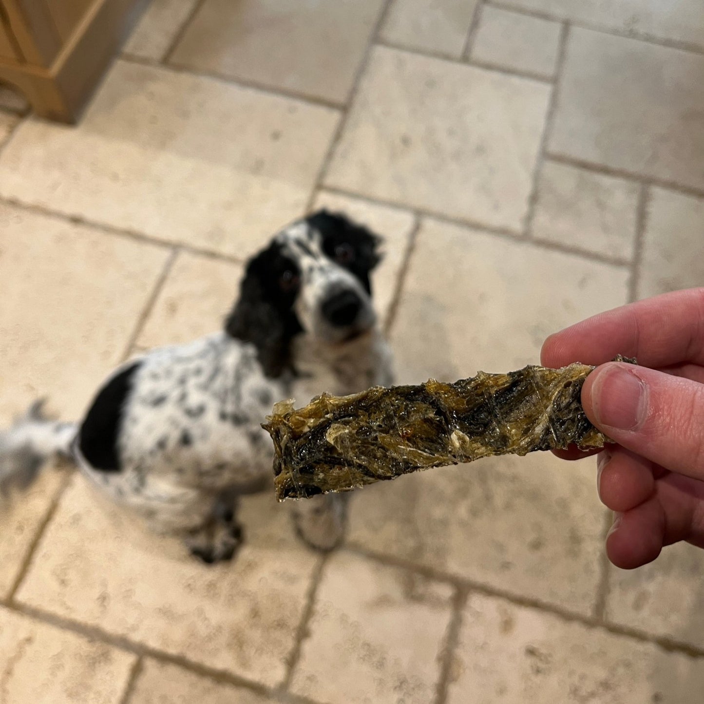 Pure Fish Batons - Waggleworthy