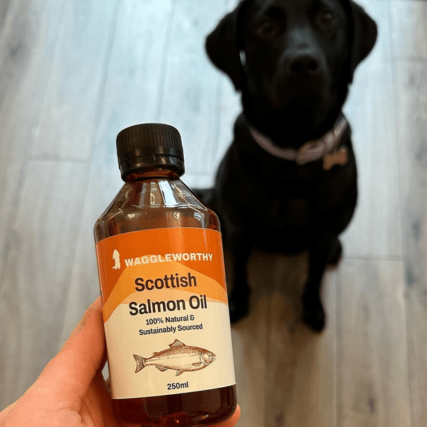 Pure Scottish Salmon Oil - Waggleworthy